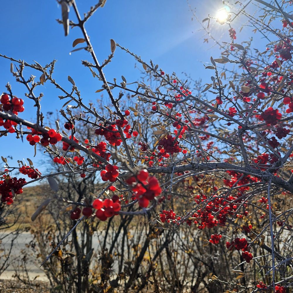 ROUND VALLEY QUINN’S JUNCTION TRAIL HEAD Updated September 2024
