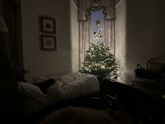 The Savoy by null