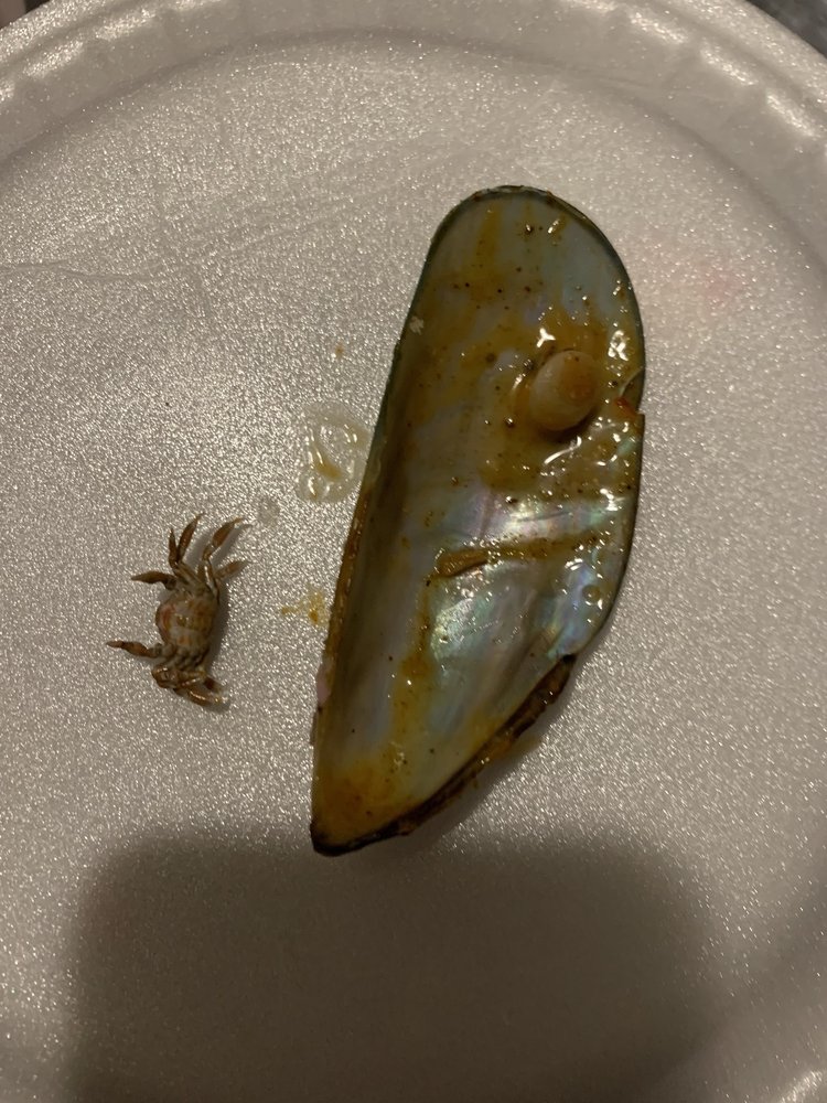 CULTURE & CRABS Updated September 2024 6424 Castor Ave