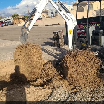 CJ Trenching - Tree stump removal - Excavation Services Near Me CJ Trenching - Tree stump removal - Excavation Services Near Me