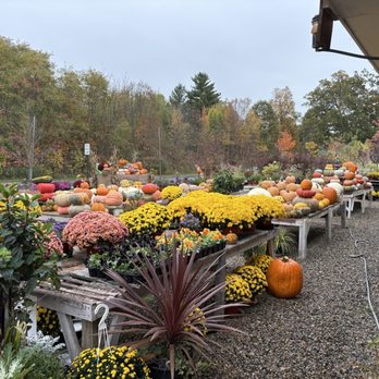 Salem Gardens - Specialty Food Near Me - South Lyon, Michigan Salem Gardens - Specialty Food Near Me - South Lyon, Michigan
