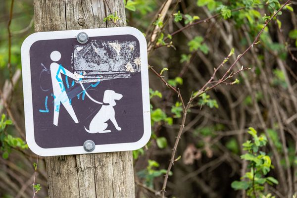 Laguna de Santa Rosa Trail by null