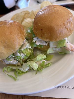 Paradocx Vineyard by null