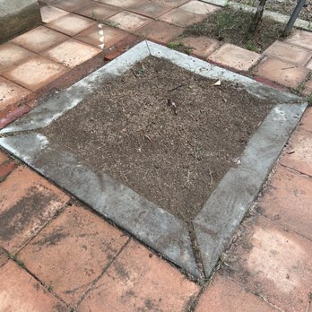 Ezra Tree Service - Tree Services Near Me