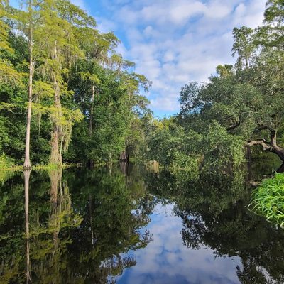 Shingle Creek Regional Park by null
