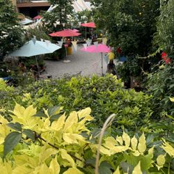 Frau Gerolds Garten
