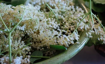 Thyme – Hotel, Restaurant, Spa by null