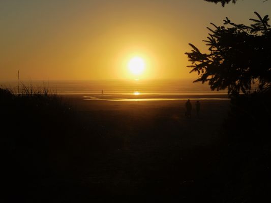 Beachside State Park by null