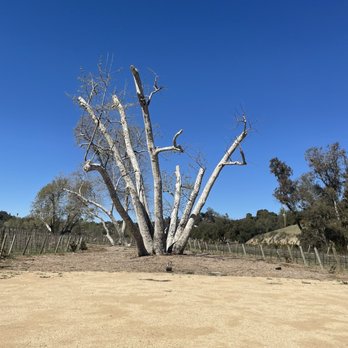Monserate Winery - Wineries Near Me - Fallbrook, California
