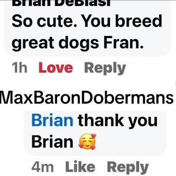 Max Baron Dobermans - Positive about MaxBaronDobermans - Pet Breeders Near Me
