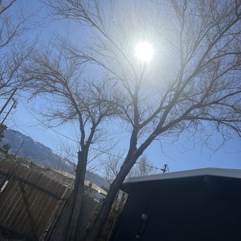 Corona's Tree Experts - Tree Services Near Me Corona's Tree Experts - Tree Services Near Me