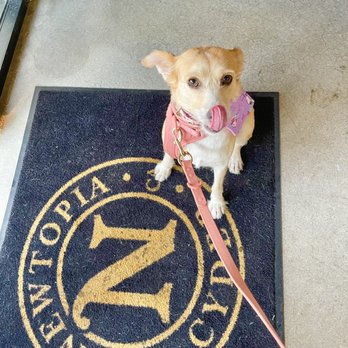 Newtopia Cyder - Thirsty for some chai cyder! - Cideries Near Me - San Diego, California Newtopia Cyder - Thirsty for some chai cyder! - Cideries Near Me - San Diego, California