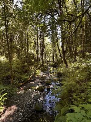 Audubon Society of Portland