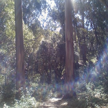 Tilden Regional Park - Selby Trail - Parks Near Me - Berkeley, California