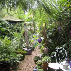 Akamba - My garden that  Akamba  gave me  the inspiration  to  do