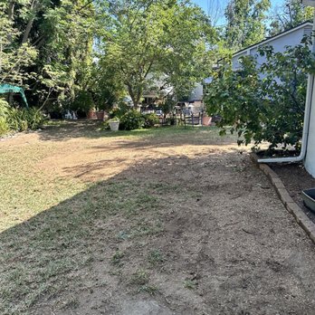 Special Tree Service - After removal of 65 foot pine - Tree Services Near Me - La Crescenta, California Special Tree Service - After removal of 65 foot pine - Tree Services Near Me - La Crescenta, California