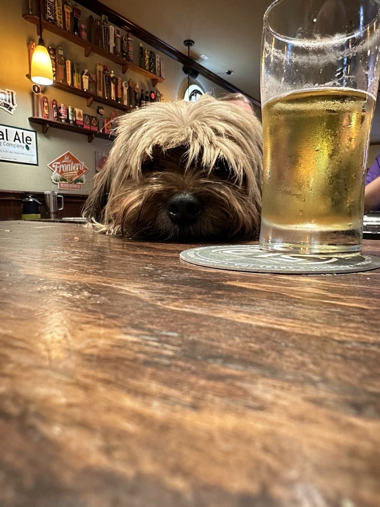 The Dancing Bear Pub