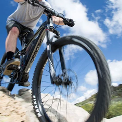 Pedego Electric Bikes Baltimore County
