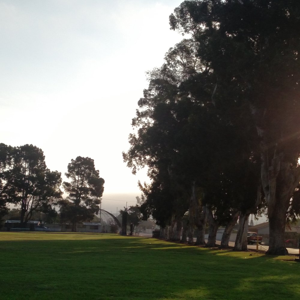 Colonia Park - Tree lined park, great for providing shade during tourney sports events or on a hot day - Parks Near Me - Oxnard, California
