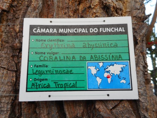 Parque de Santa Catarina by null