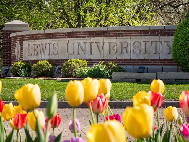 Slide of Rainmakers Irrigation & Maintenance