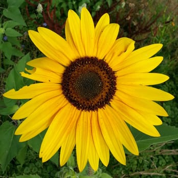 Healthy Mind Body - Naturopathic/Holistic Near Me - Petoskey, Michigan Healthy Mind Body - Naturopathic/Holistic Near Me - Petoskey, Michigan