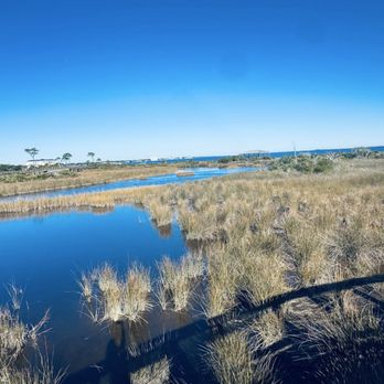 Big Lagoon State Park - So so pretty and peaceful - Beaches Near Me - Pensacola, Florida