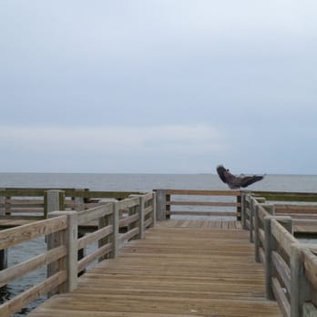 Harbor Square Park - Parks Near Me Harbor Square Park - Parks Near Me