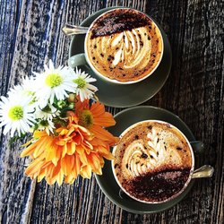 ASLAN Coffee Roasters - St Peters - Coffee