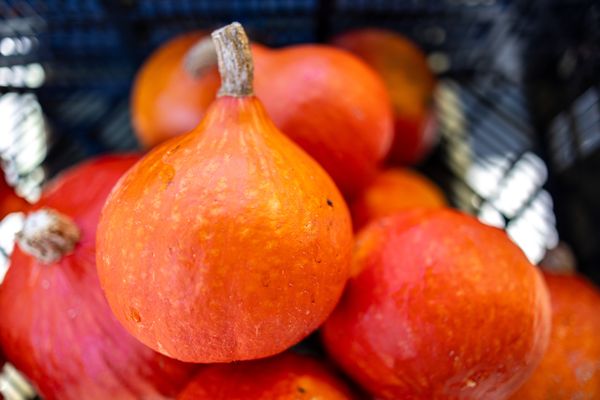 Ferry Plaza Farmers Market by null Ferry Plaza Farmers Market by null
