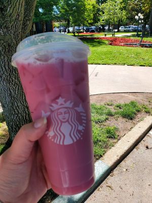Starbucks by null