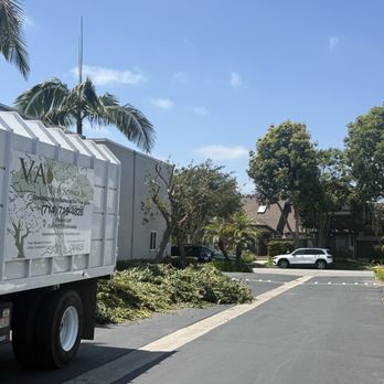 V & A Tree Service - Tree Services Near Me - Garden Grove, California V & A Tree Service - Tree Services Near Me - Garden Grove, California