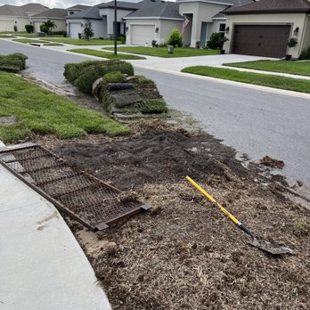 Daniele Landscape Design - a view of a residential area - Landscaping Near Me Daniele Landscape Design - a view of a residential area - Landscaping Near Me