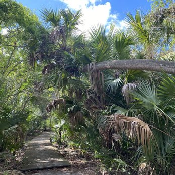 Sweetwater Hammock Preserve - Small trail, very easily walkable! - Hiking Near Me - Fort Pierce, Florida Sweetwater Hammock Preserve - Small trail, very easily walkable! - Hiking Near Me - Fort Pierce, Florida
