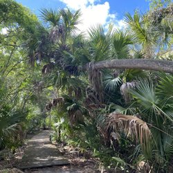 Sweetwater Hammock Preserve - Small trail, very easily walkable!