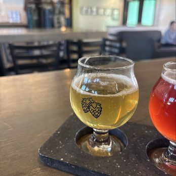Danico Brewing Company - Pickle beer - Breweries Near Me - Denver, Colorado Danico Brewing Company - Pickle beer - Breweries Near Me - Denver, Colorado