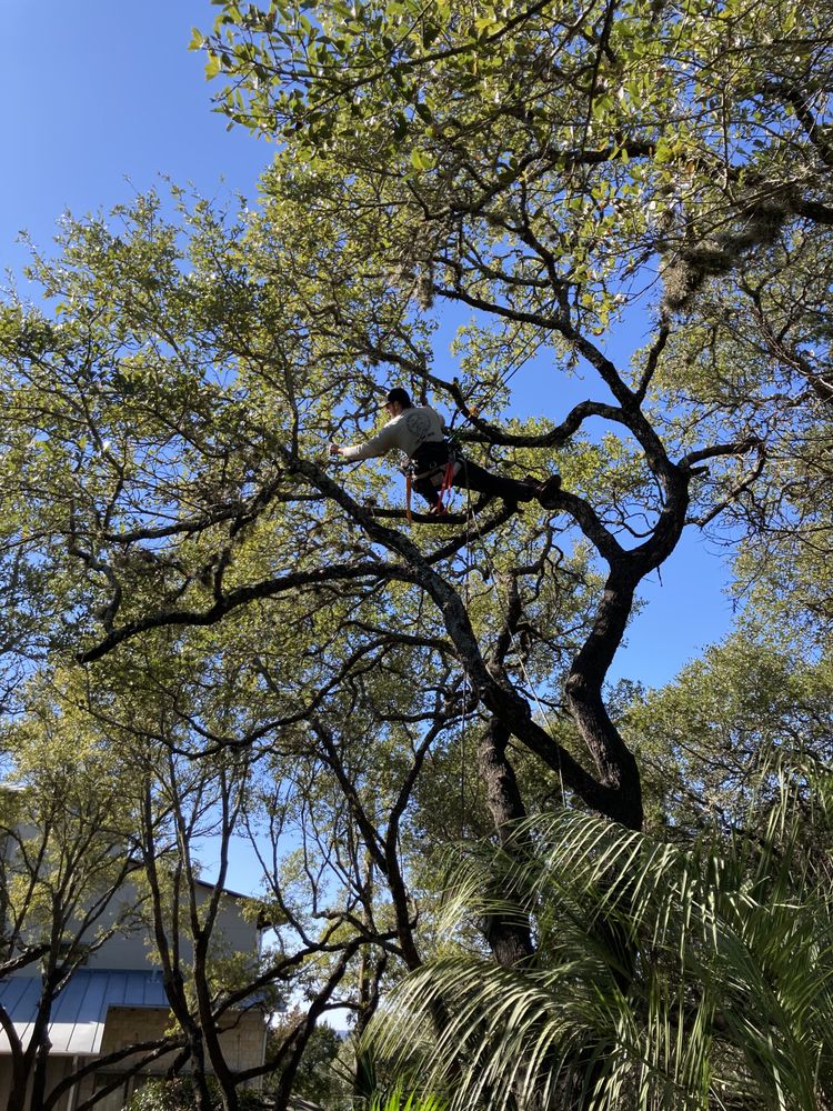 J & J TREE CARE PROFESSIONALS Request a Quote 11 Photos Spring