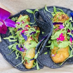 The Drunken Burrito - Tempura Tacos