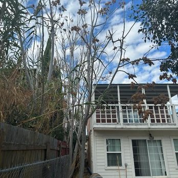 Life Tree Service - Tree Services Near Me