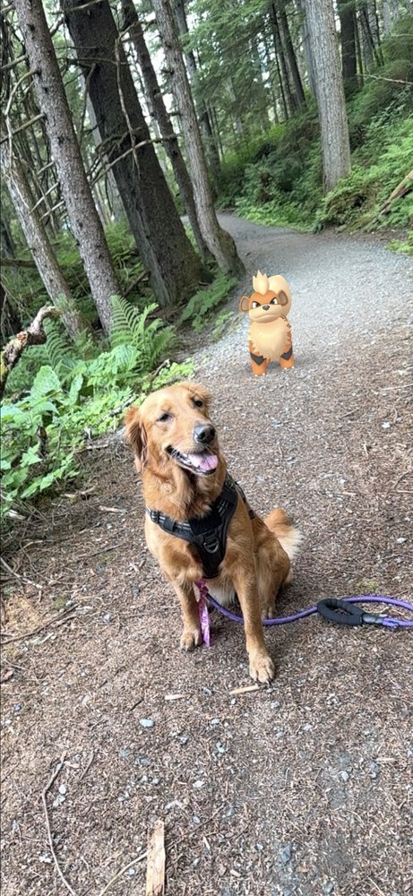 Social spots from Auke Lake Trail