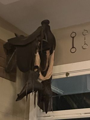 Wrangler's Steakhouse & Saddle Room Bar by null