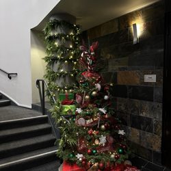 Northwood Christmas Trees - Folsom Business