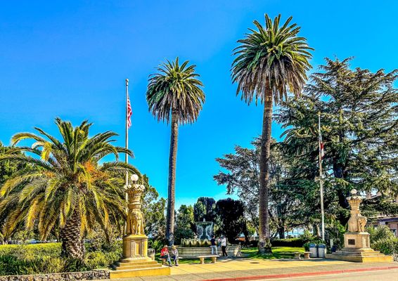 Viña del Mar Park by null