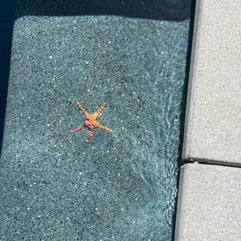 HSB Pools - Pool & Hot Tub Service Near Me HSB Pools - Pool & Hot Tub Service Near Me