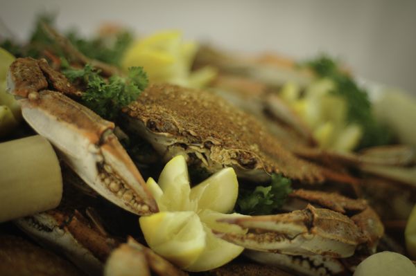 Rusty Scupper Restaurant & Bar by null