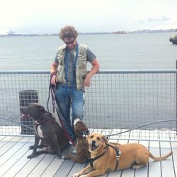 Fred Zorn Dog Training - Trust, Communication, Clarity of intent, Fun!