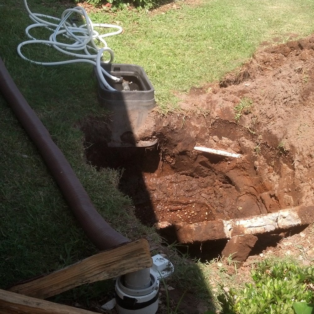 Unhealthy sewer opened up and maintenance unhooked our fresh water hose placing it by this pile of dung Unhealthy sewer opened up and maintenance unhooked our fresh water hose placing it by this pile of dung