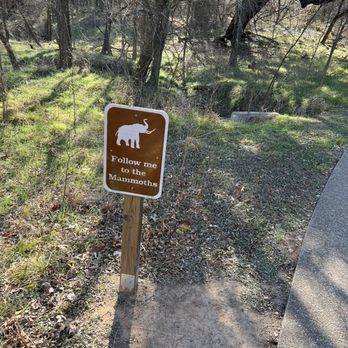 Waco Mammoth National Monument - Museums Near Me - Waco, Texas