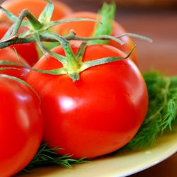 Hayes Meats & Gourmet Foods Catering