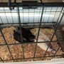 Photo of Concord Feed Pet & Livestock Supplies - Livermore